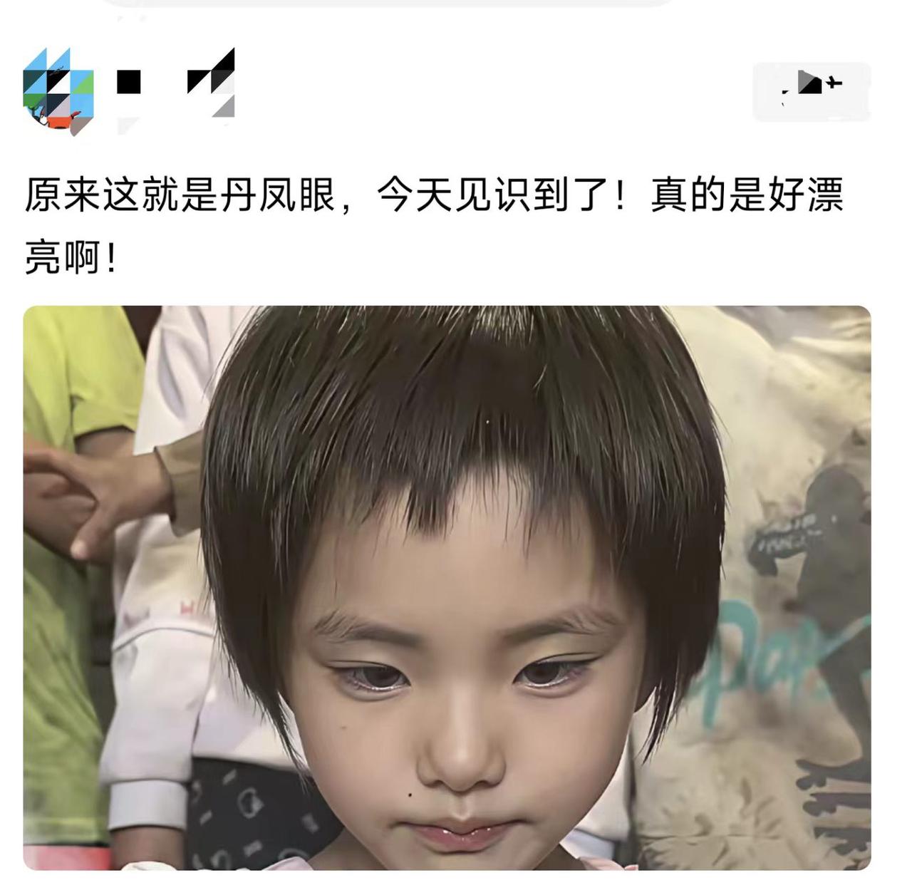 这丹凤眼，长大后不得迷死人。