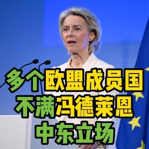 近日几个欧盟成员国最近对欧盟委员会主席冯德莱恩很不满。原因是她在中东问题上的一些
