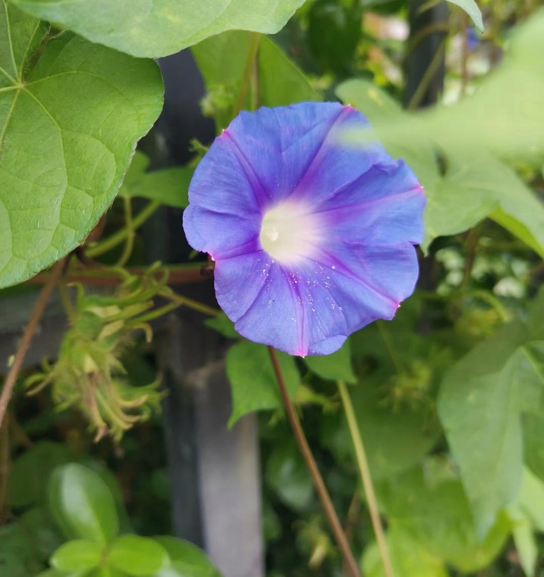 一个自律的人有多可怕一个自律的人有多可怕。单位一老同事，患癌三十几年，如今