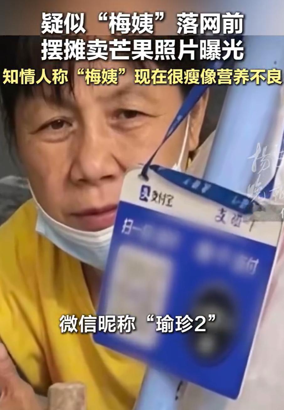 梅姨的照片出来后，很多人都说见过她。有她出租屋附近的邻居，有给她剪过头发的理