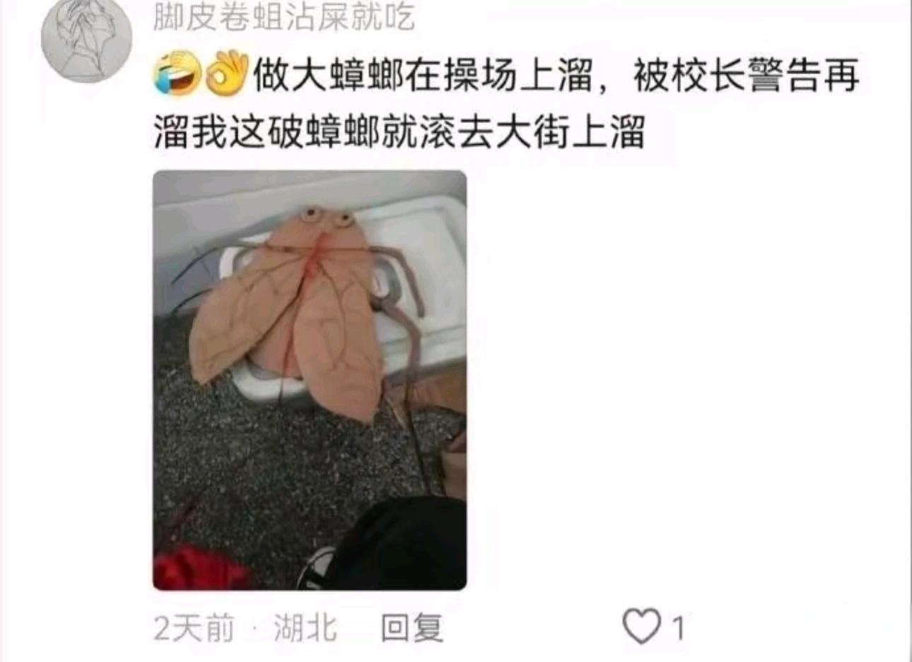 在学校除了学习什么都会哈哈哈哈哈哈