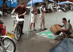 说也奇怪，为什么会往回跑，我现在还是不知道。