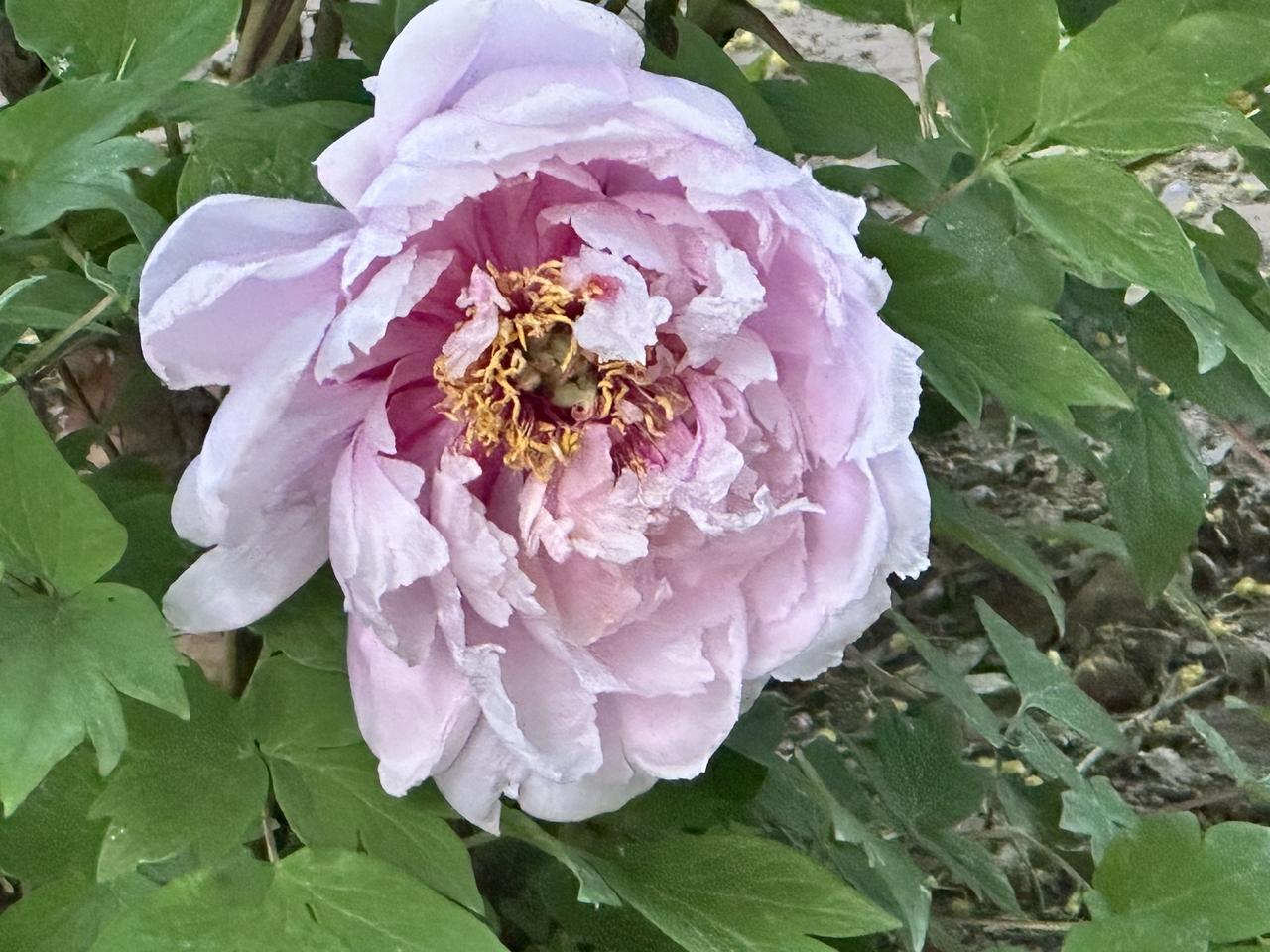 有个朋友之前借我的钱还了，但第二次再找我借钱时，我没借给他，这其中的缘由很微妙。