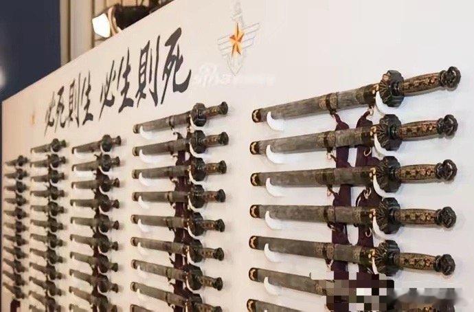 猛的一看还以为是中国军人，仔细一看原来是宇宙国的“将军”，大统领给晋升将军的军人
