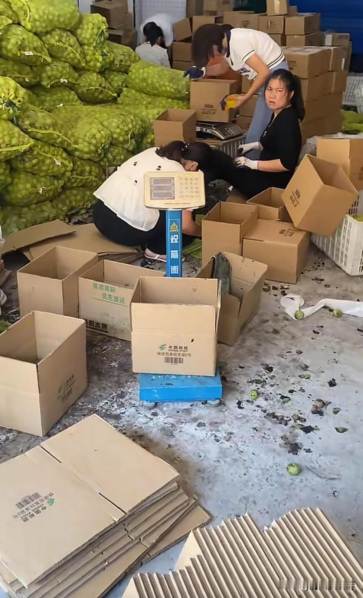 一个人在家做电商，今天虽然只有1500多单，但是利润比较高，没单差不多能赚8.5