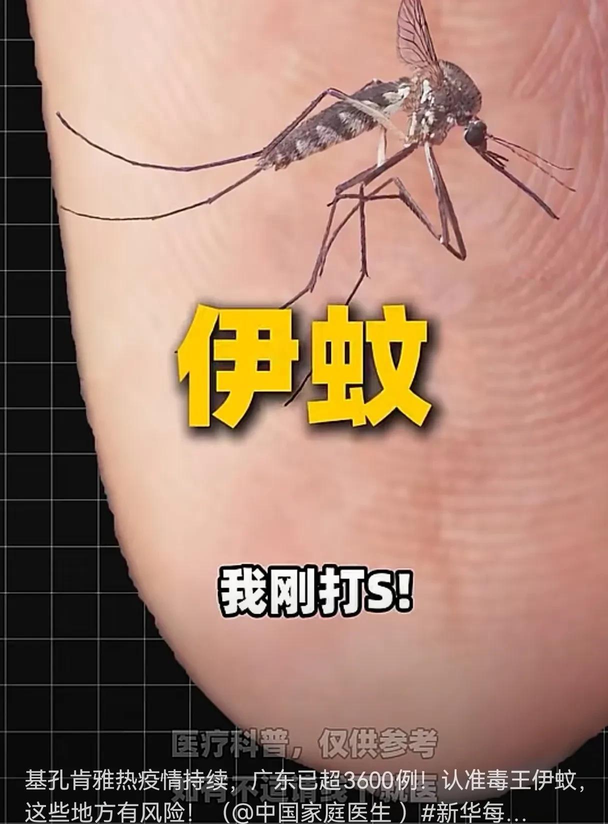 需要警惕！基孔肯雅热疫情持续！据新华每日电讯7月26日消息，广东已超3600例！