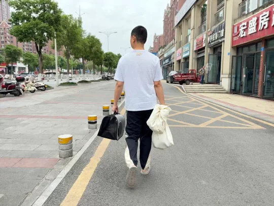 流二代公猫绝育