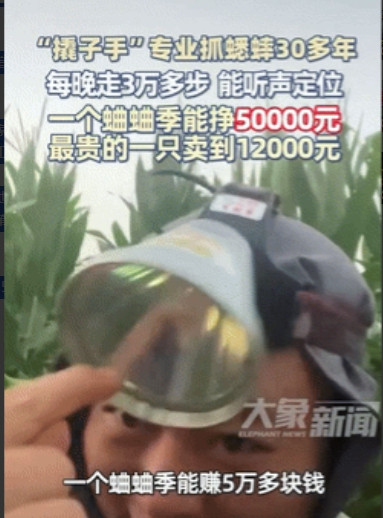 “挣疯了！”山东济宁，男子从9岁跟着舅舅学习抓蛐蛐，如今抓了30多年，一个蛐蛐季