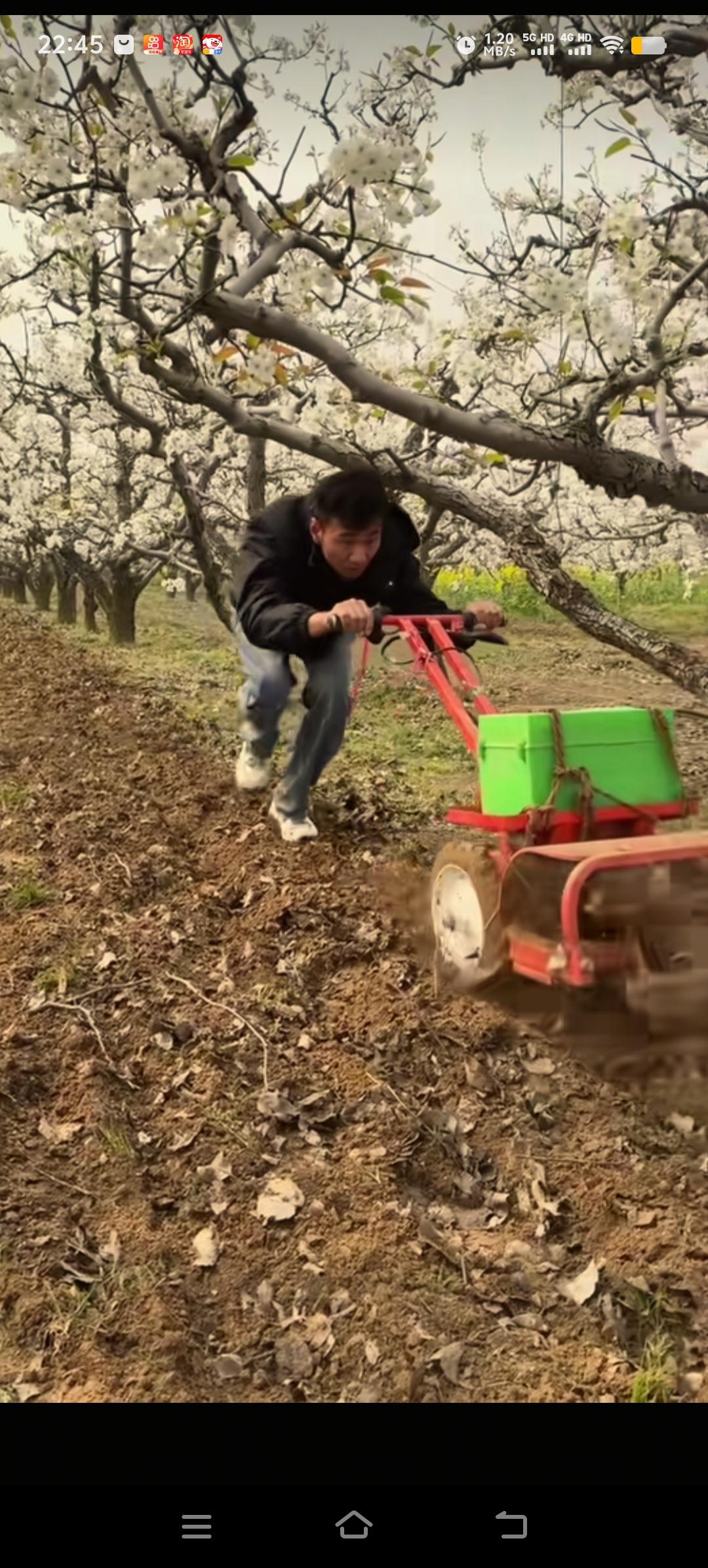 厉怀远从海南返回了安徽。今天，他骑着三轮车，带着工具，来到自家的梨园。此时，梨园
