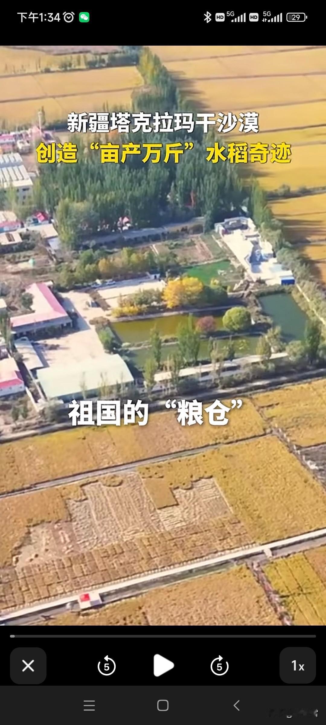 亩产万斤的水稻你见过吗？！本来以为是农业上的一个奇迹！却没想到是换了概念！