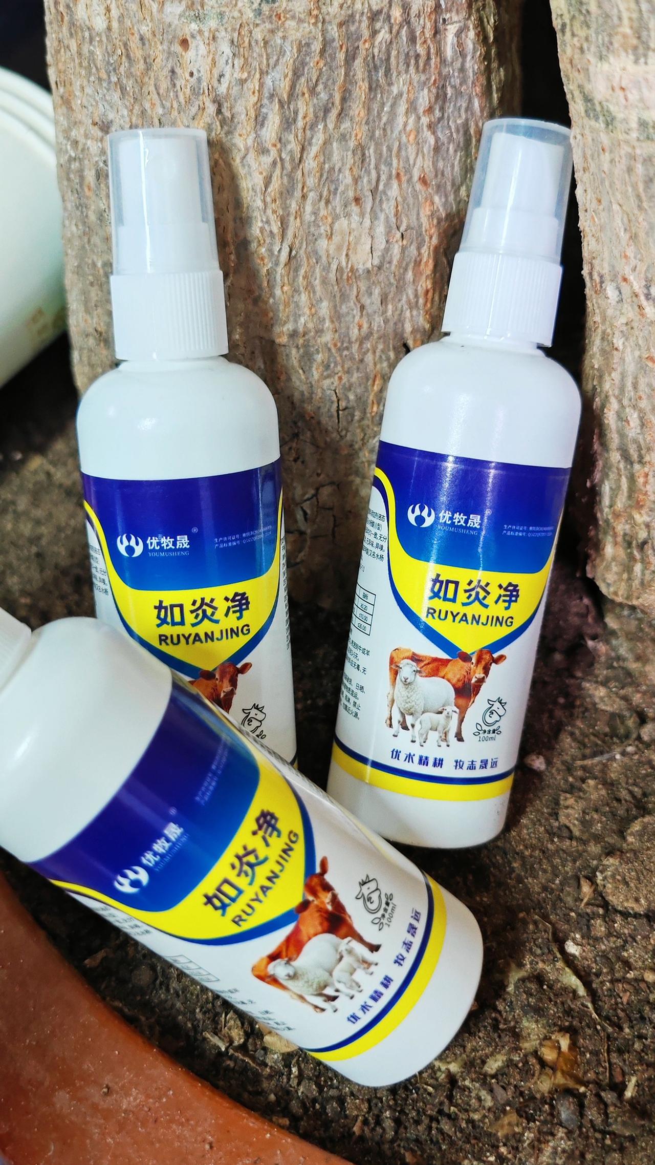 养羊人农村养羊牛羊养殖