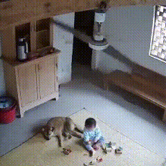 惊出一身冷汗！特别惊险客厅里，一个大吊扇好端端地突然就掉地上了。那动静，哐当一声