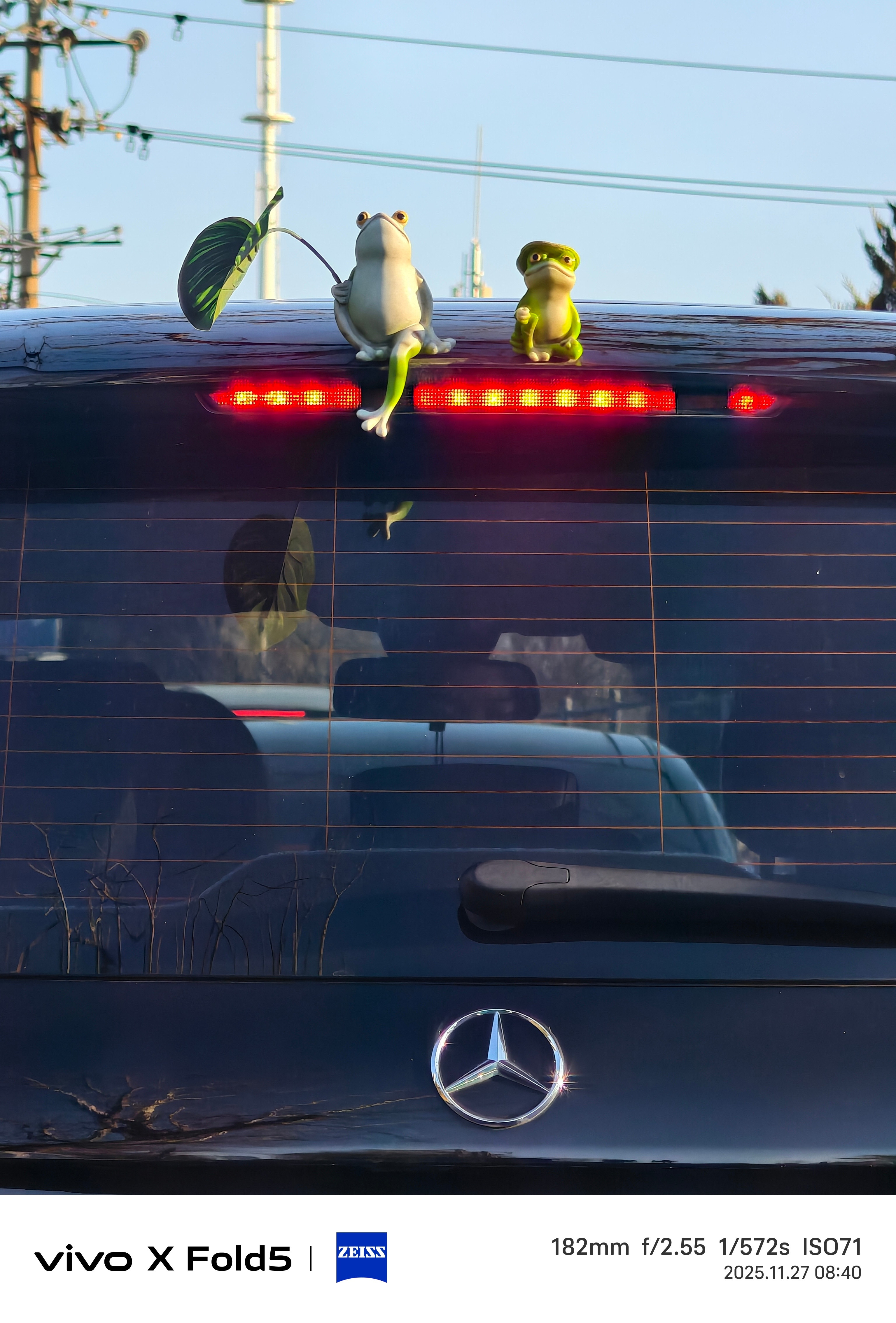 青蛙手里还拿个叶子可太贫了北京