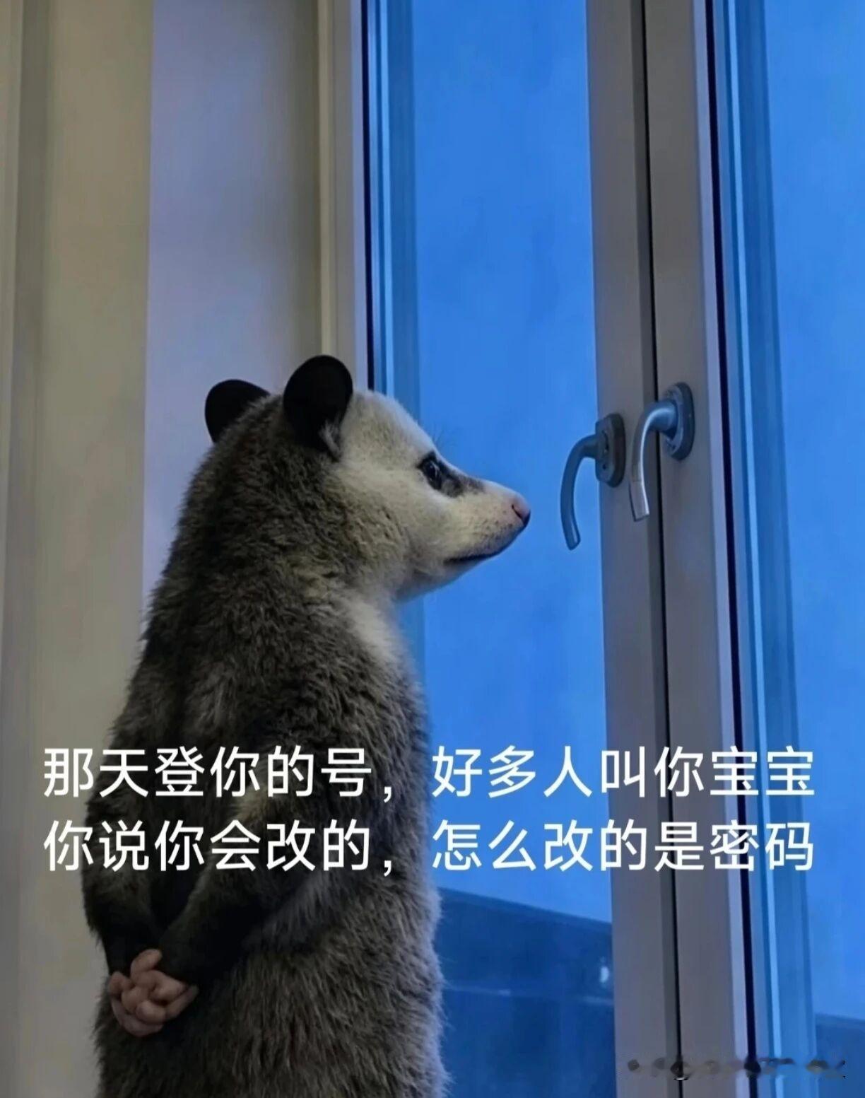 2026年最火表情包出现了[滑稽笑][滑稽笑][滑稽笑]这个真的很有意思这几天刷剧