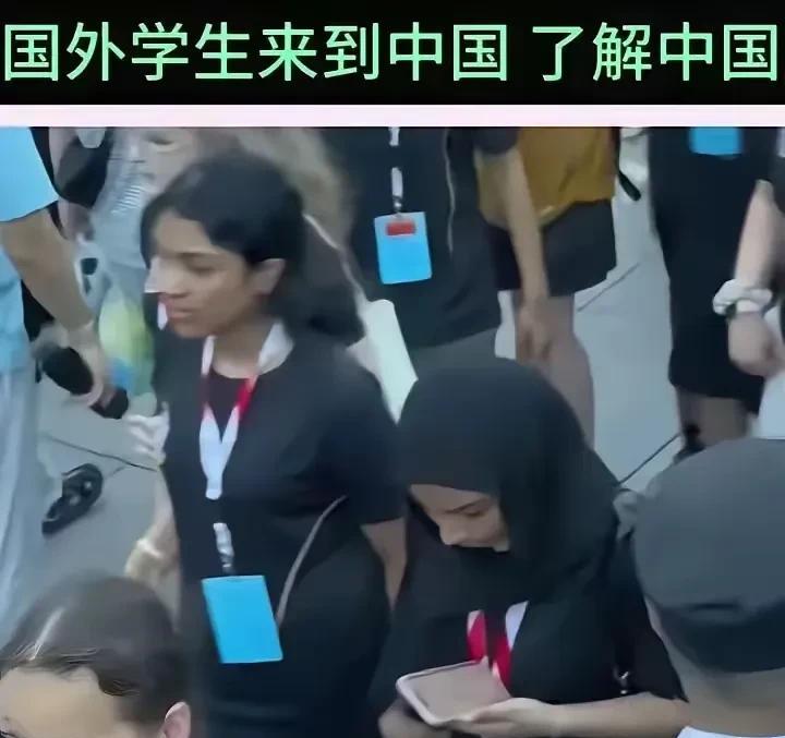 免费招录大量留学生的大学正走向低智化，学历文凭逐渐失去含金量，在只关注国际排名的
