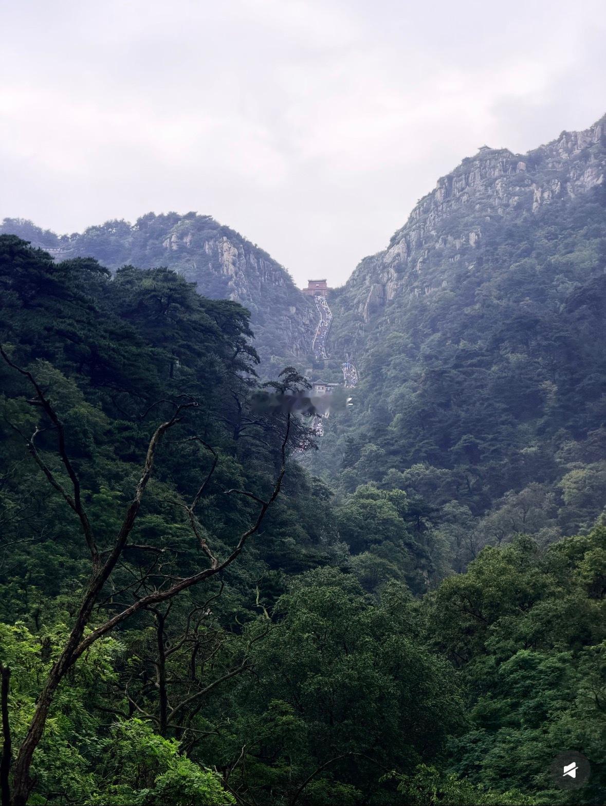 泰山是有良心的景点，不赚窝囊废的钱