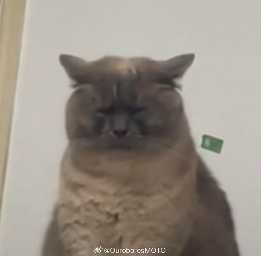 人麻了啊​​​