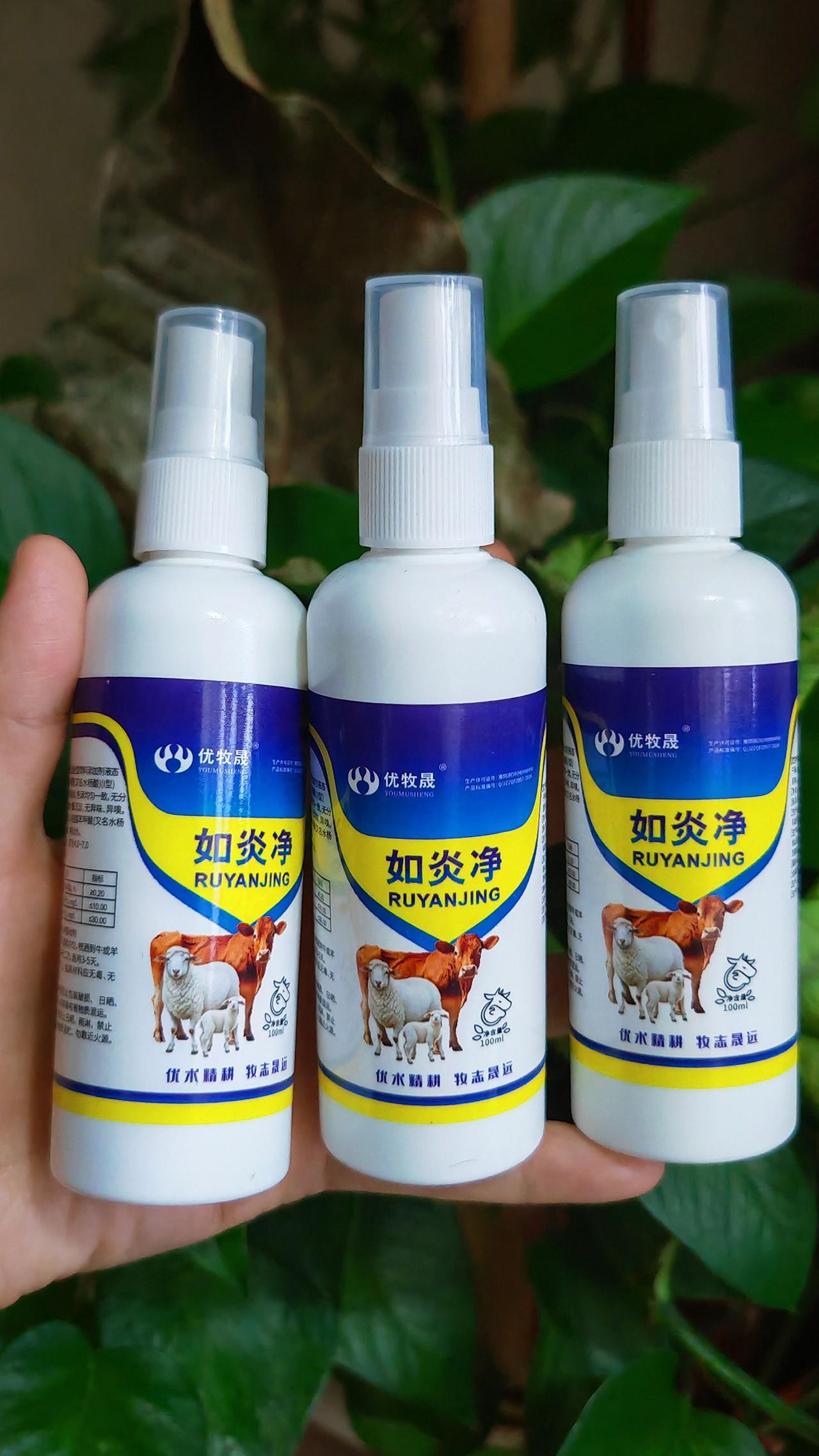 养羊人农村养羊牛羊养殖