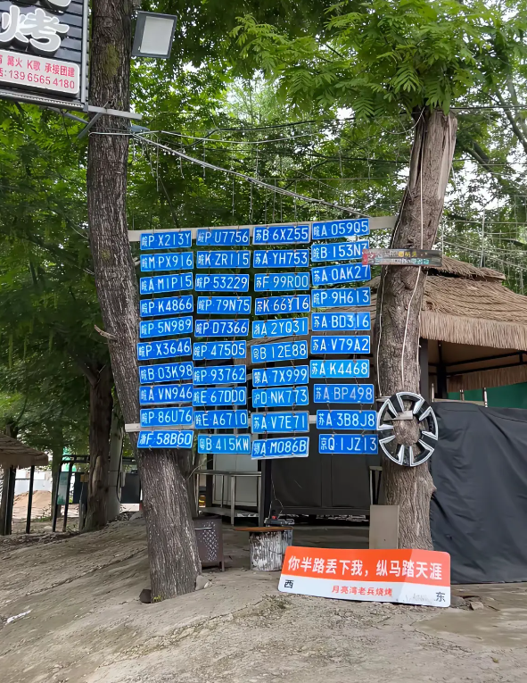你的车牌是不是掉这里了？