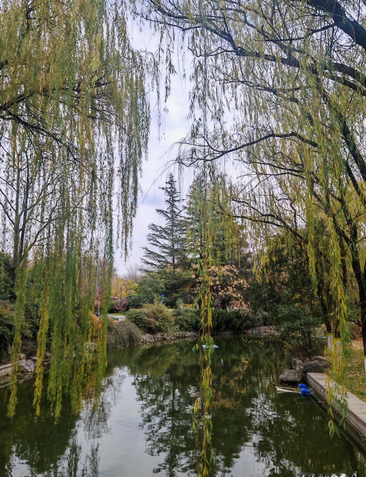 25岁确诊慢性肾病那天，我觉得天都塌了，以为这辈子注定是个悲剧。结果咋样？熬