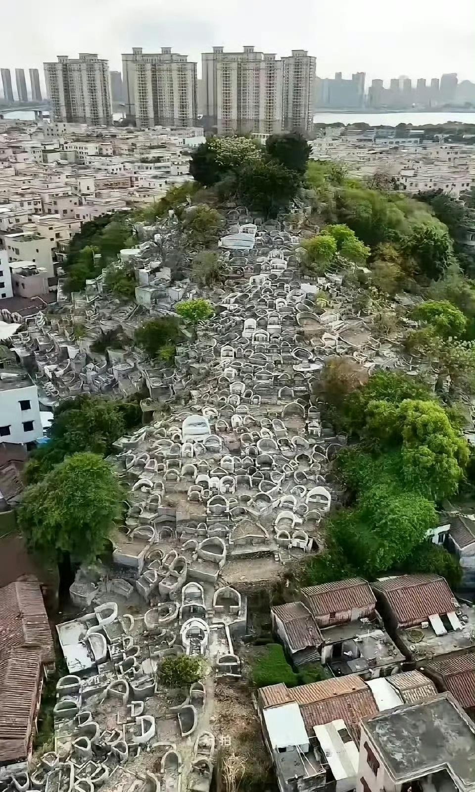 这就是提倡火葬的必要性