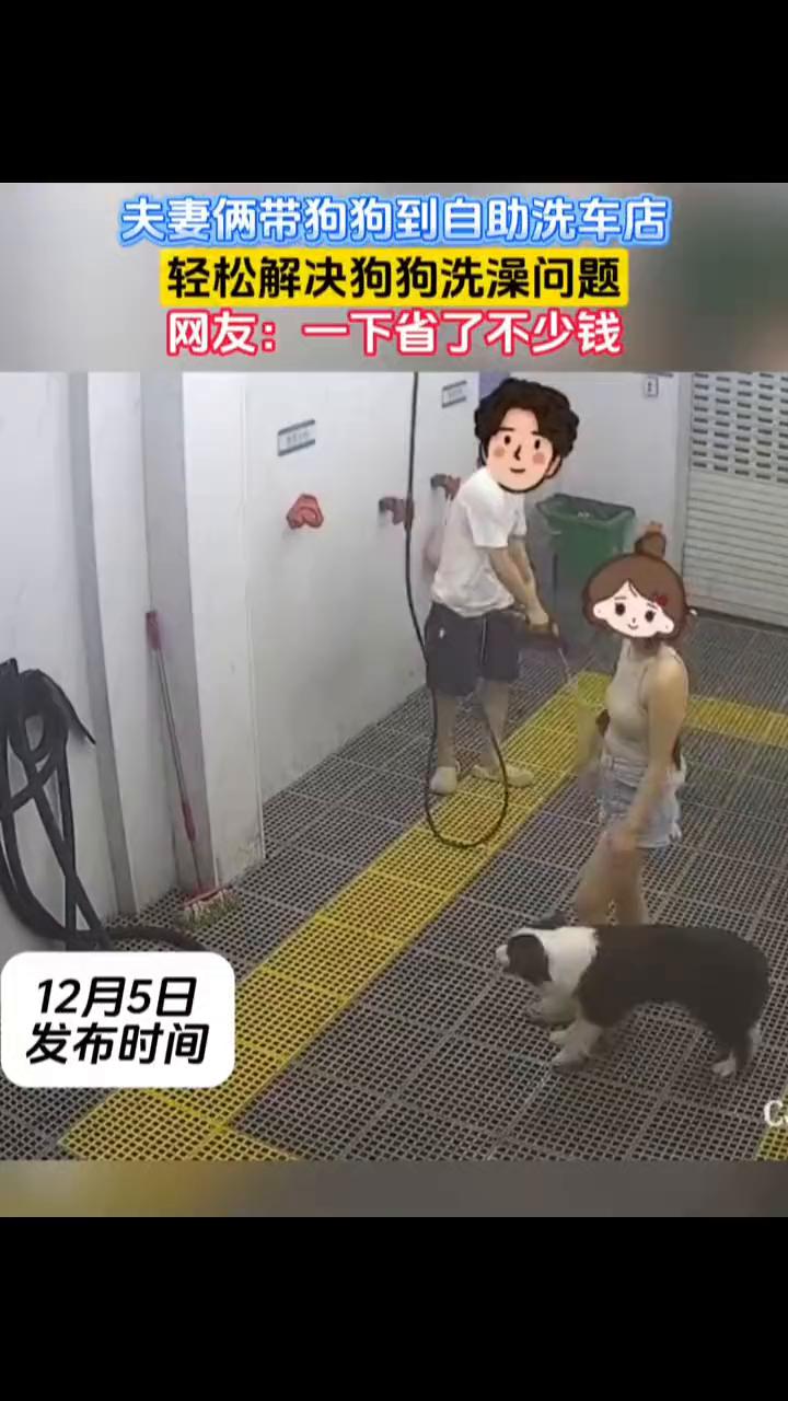 夫妻俩带狗狗到自助洗车店，轻松解决狗狗洗澡问题。网友：一下省了不少钱。12月5