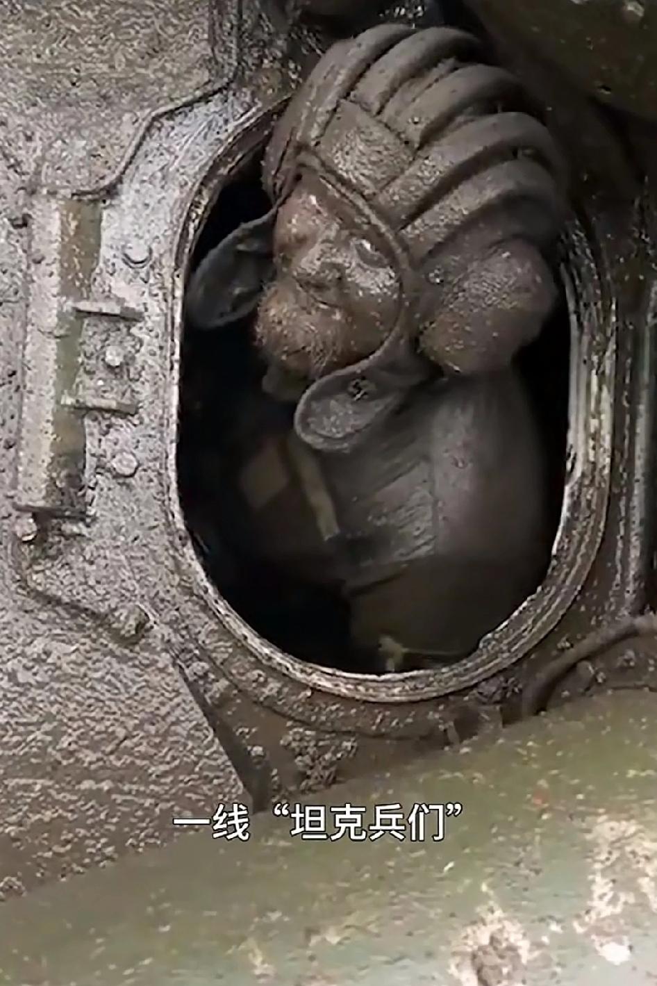 俄乌战场一线坦克兵们最真实的生存状态，外面极低的温度容易变成“冰棍”看以后的战