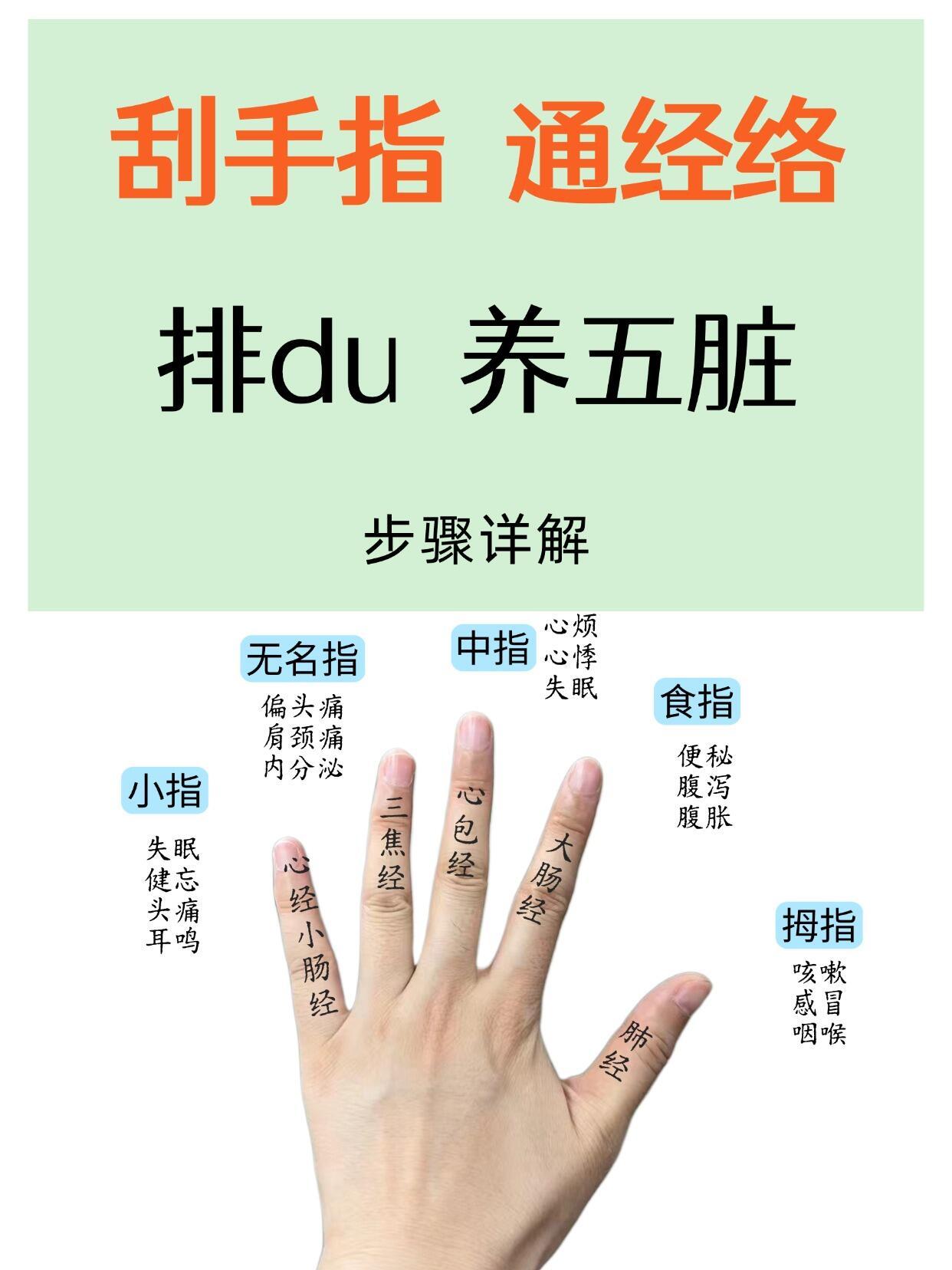 每天刮10分钟，刮五指，通经络，养五脏拇指——肺经食指——大肠经中指——心包经无