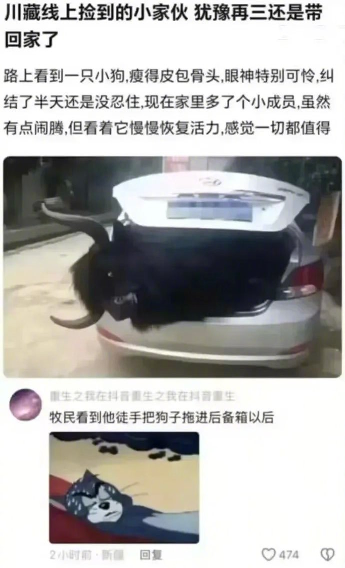 你管这叫小狗