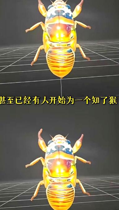 山东抓知了猴的这批人最近估计快崩溃了，他们千算万算，没算到能碰上科技感拉满的恶搞
