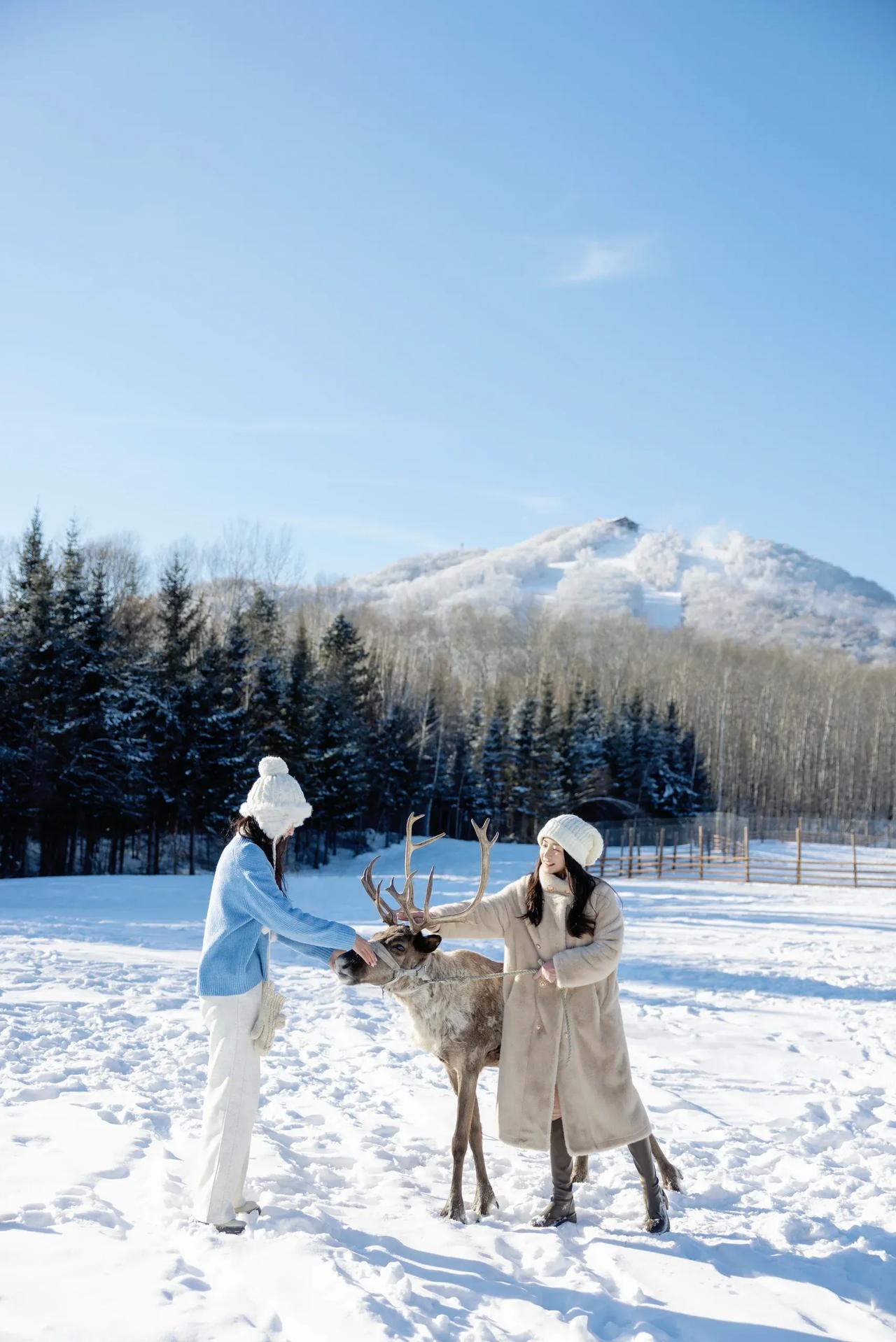 吉林延边的冬天，简直是雪打造的梦幻世界！这里的雪景不只有白茫茫一片，还藏着林海、