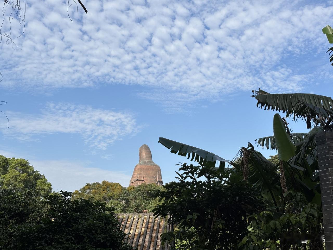 高胆固醇，到底怎么办？别慌，克星来了。它们说，它们就是为这事儿生的。想