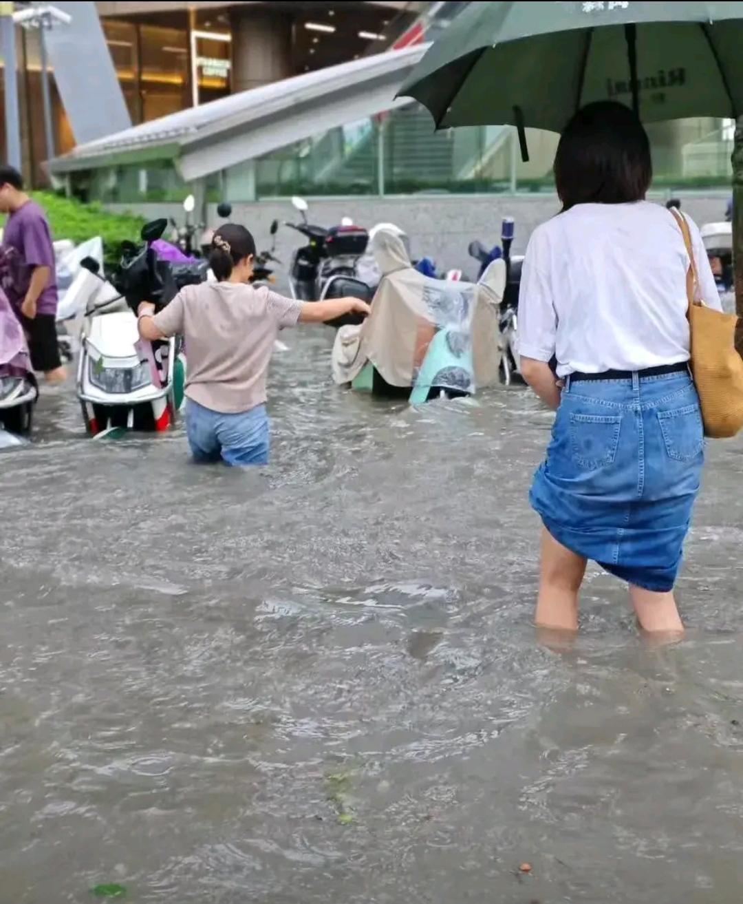 近日，一名上海网友反映，受台风“白海豚”影响，上海下暴雨到处积水，她担心迟到临时