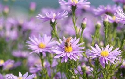 记录我的2026生命将给予你的，必然全给你，不必等待，无需远行。你必须爱自己、爱