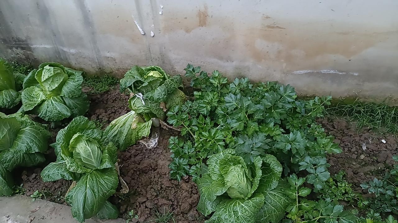 首先，读书是一场自我对话的旅程。在书中，我们遇见不同的人、不同的思想、不同的世界