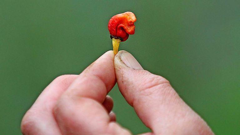 【疏楼龙宿武戏MV】王者为龙临天下(出场八周