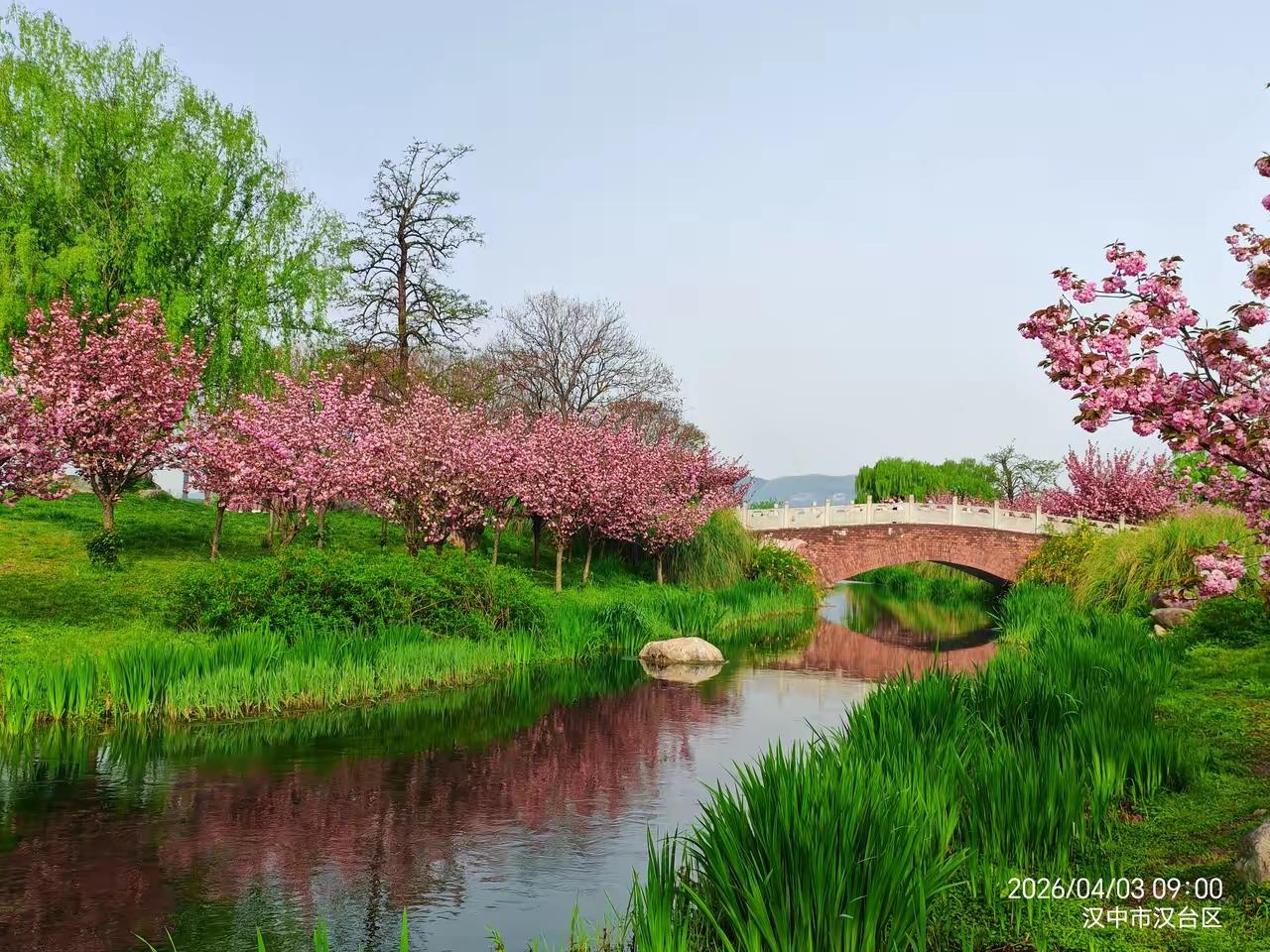 与自己相伴一生，才是终身浪漫人这一生，兜兜转转，迎来送往，父母会老去，伴