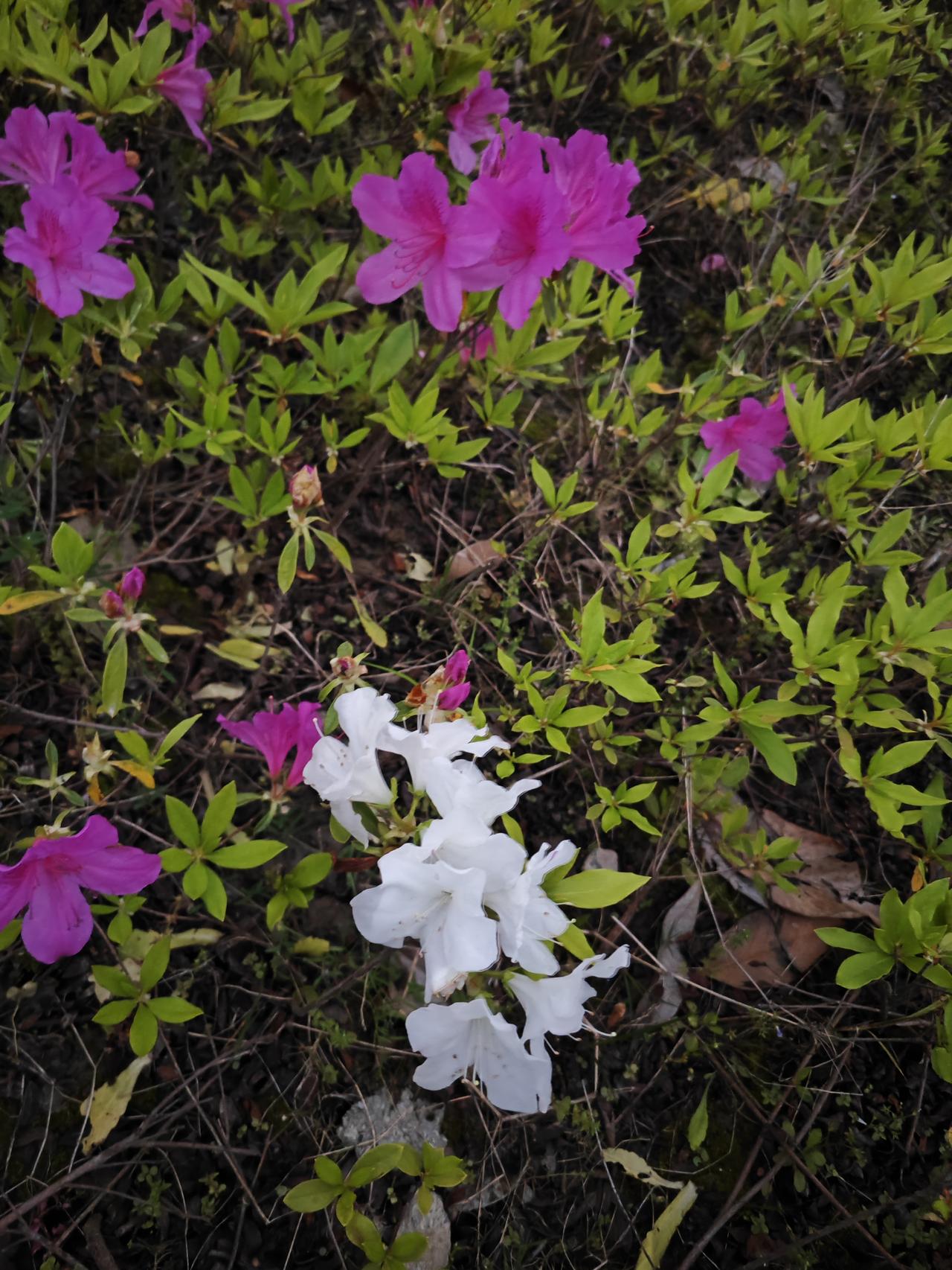 顶级养生就仨字：管住心别跟烂人较劲——你气的半死，人家该吃吃该睡睡，拿别