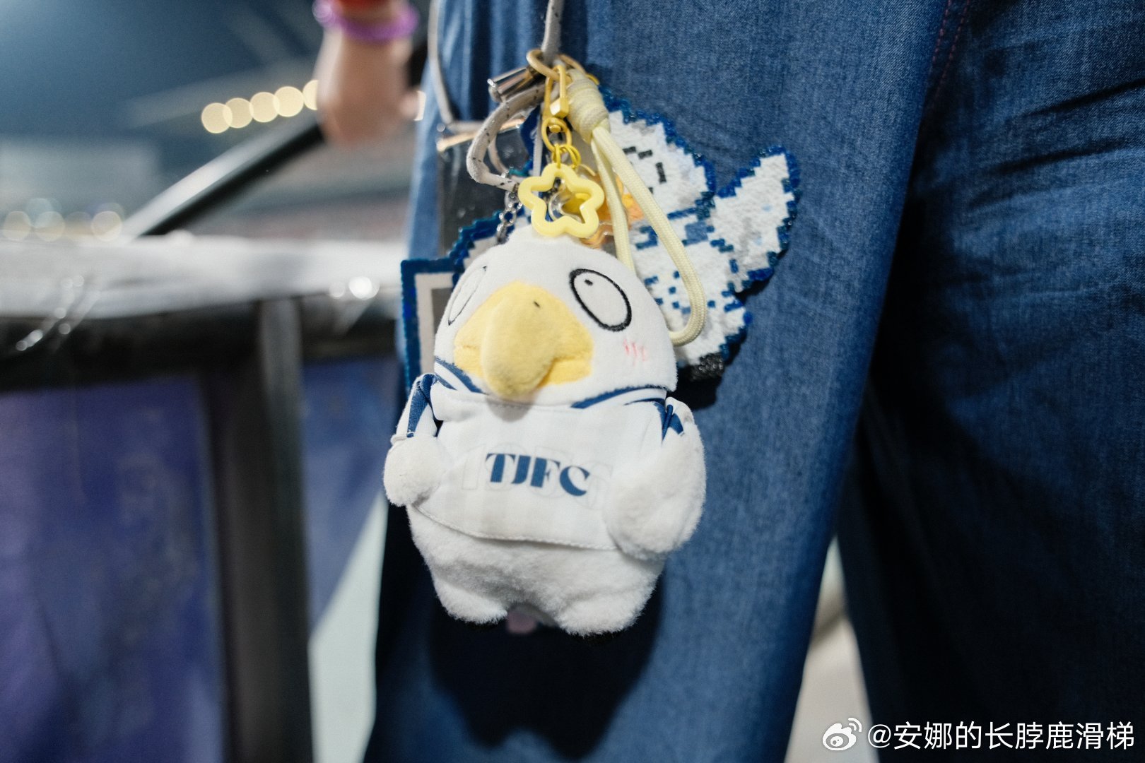#天津津门虎#鬊鬊丢失前的照片[扁嘴][扁嘴][扁嘴]​