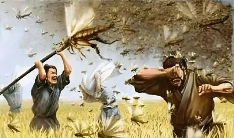 古代遭遇蝗灾饿死人，为什么没人吃蝗虫？其实古人早就想到了公元785年，唐朝贞元
