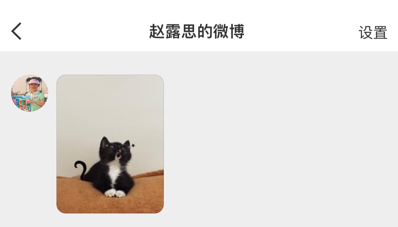 这个小露露，把私信自动回复换成了待领养的小猫🥹赵露思把自动回复换成待领养的小猫