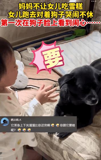 笑的肚子疼！重庆，妈妈不让两岁的女儿吃雪糕，女儿直接跑到狗狗面前哭闹不休。狗狗也