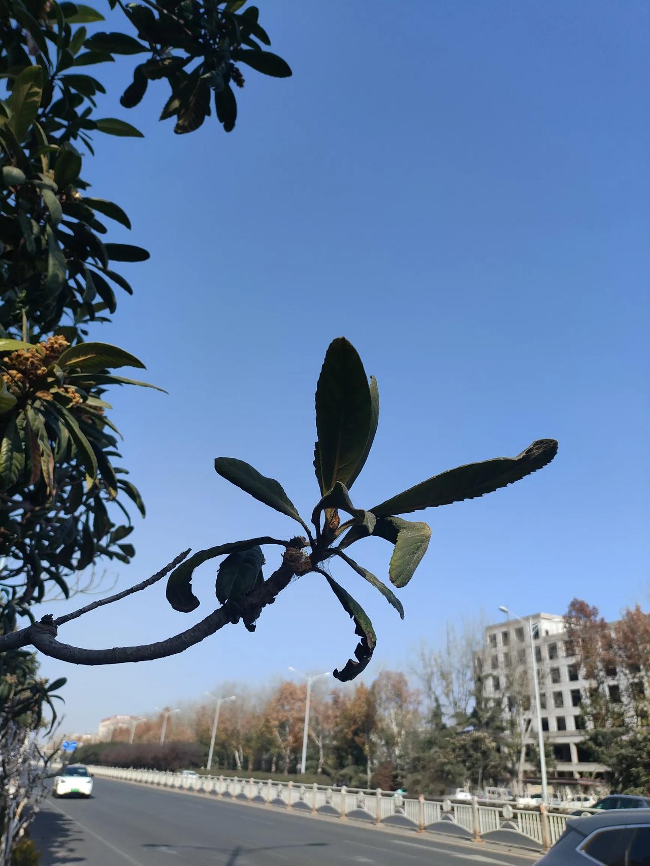 论文发表，考验的是需要评职称老师的钞能力以前发表论文，人家给稿费，现在