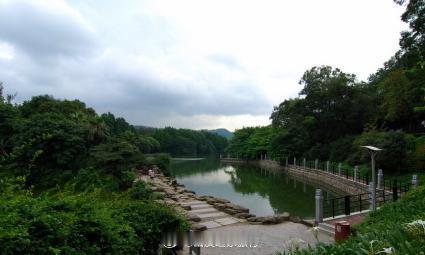 【麓湖公园】麓湖公园位于白云山南麓,是一座大型山水园林公园，园内山清水秀，鸟语花