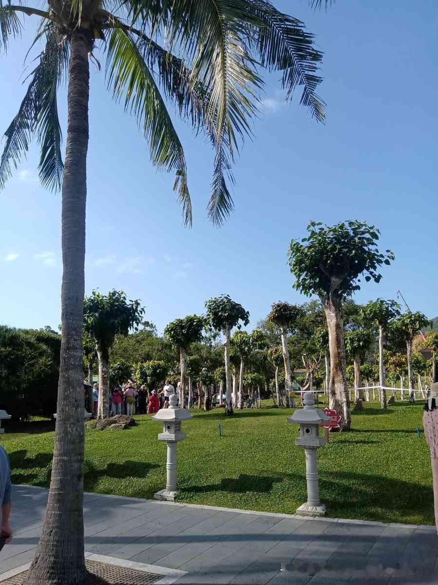 你看到那篇“为人处事八不”了吧，就那个，我扫完一遍，整个人都不好了。不是它说