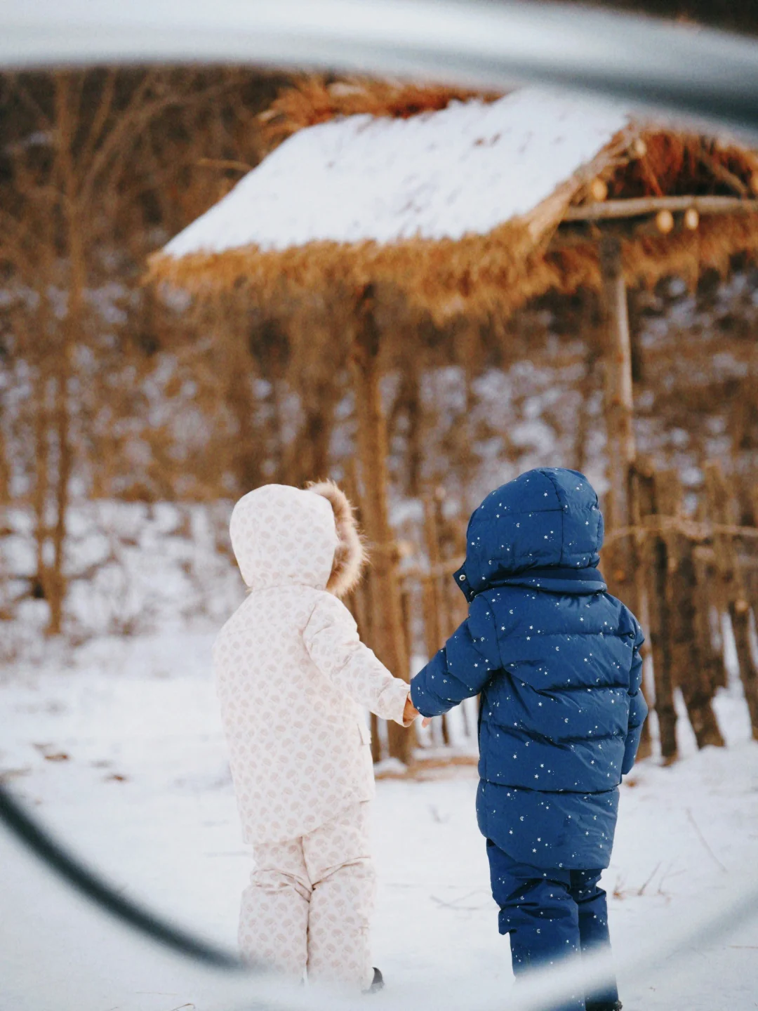 没有双胞胎基因，却生了对龙凤胎宝宝❤️