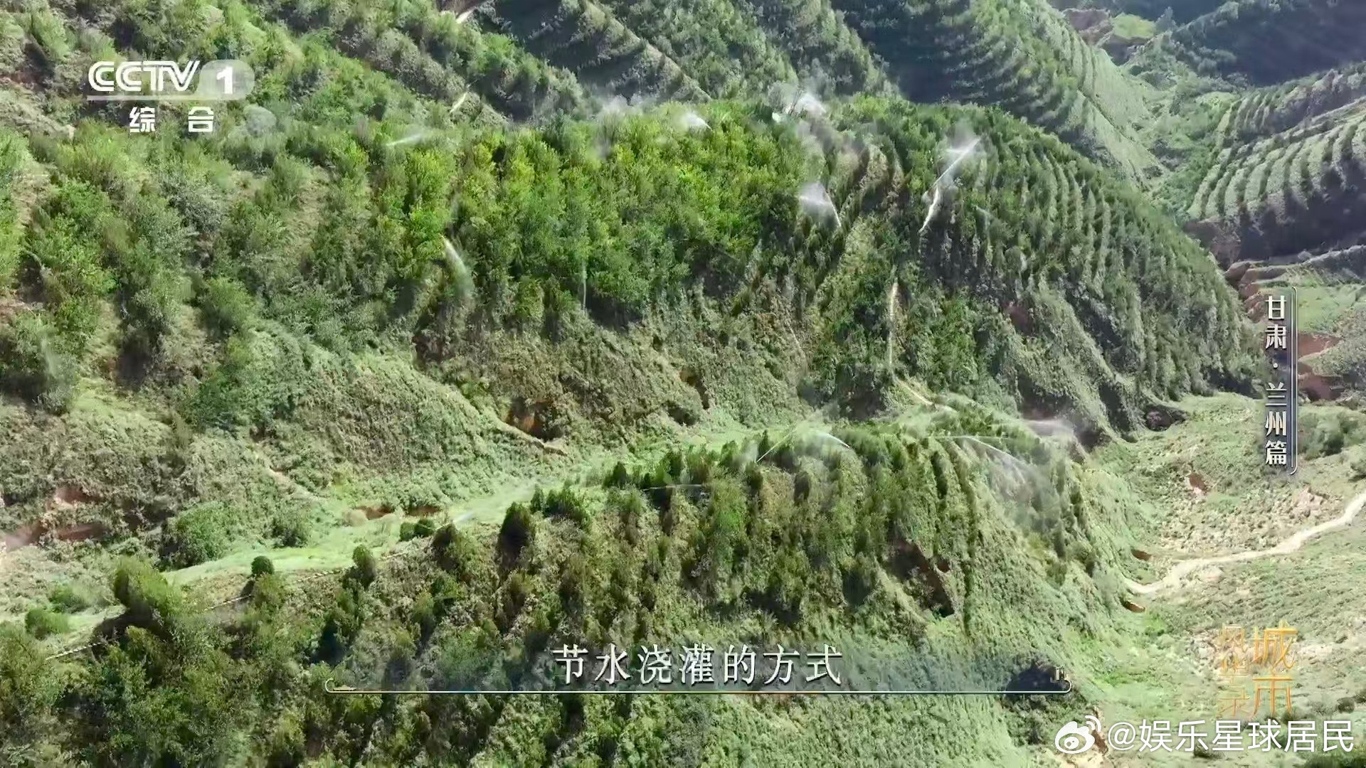 兰州人70年种活了1.6亿棵树干旱、风沙、缺水都没能难住他们💪，靠着不服输的