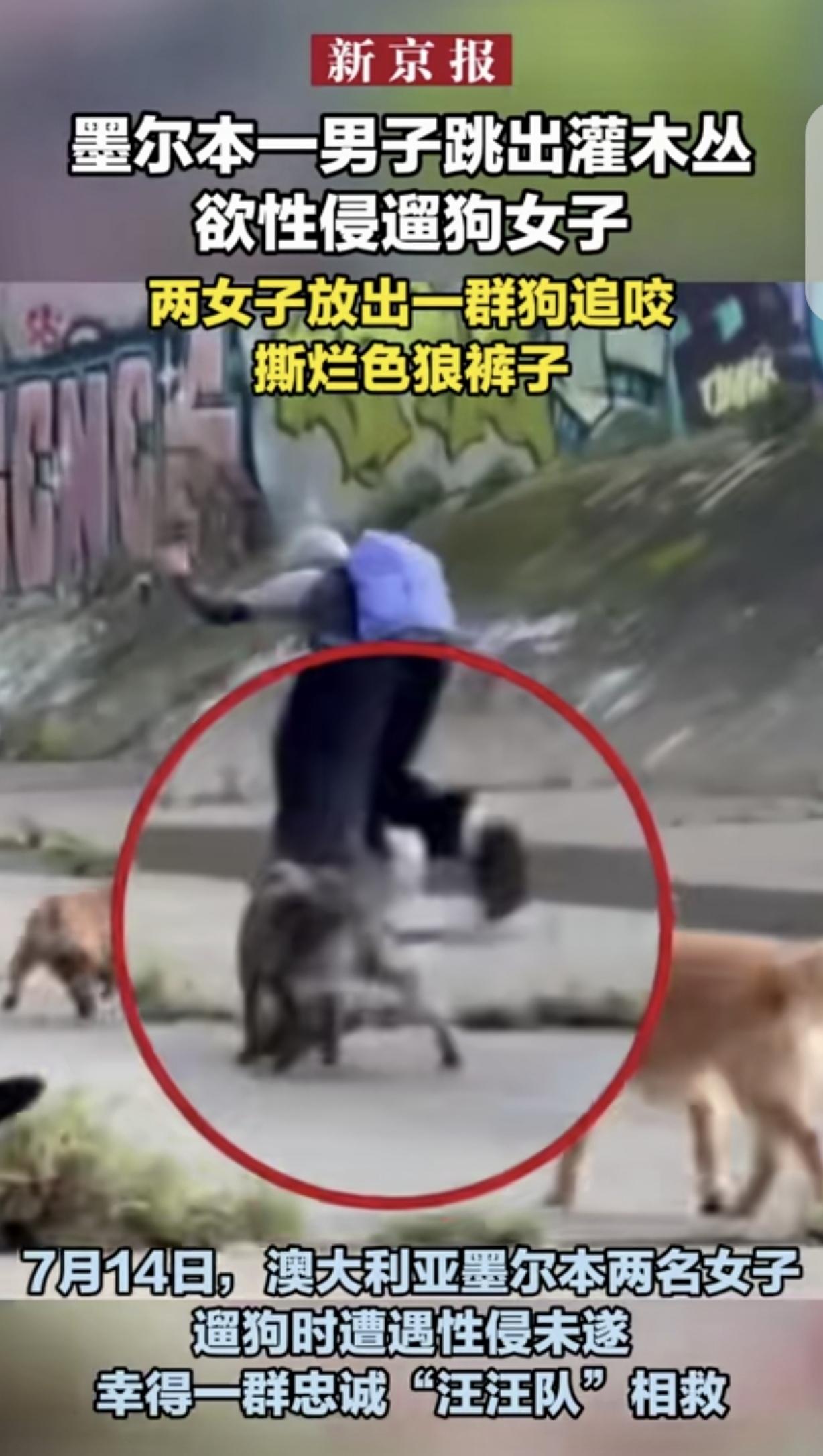 “活该！”一男子躲在灌木丛里，看到2名女子遛狗，他见色起意，从灌木丛跳出来，抓住