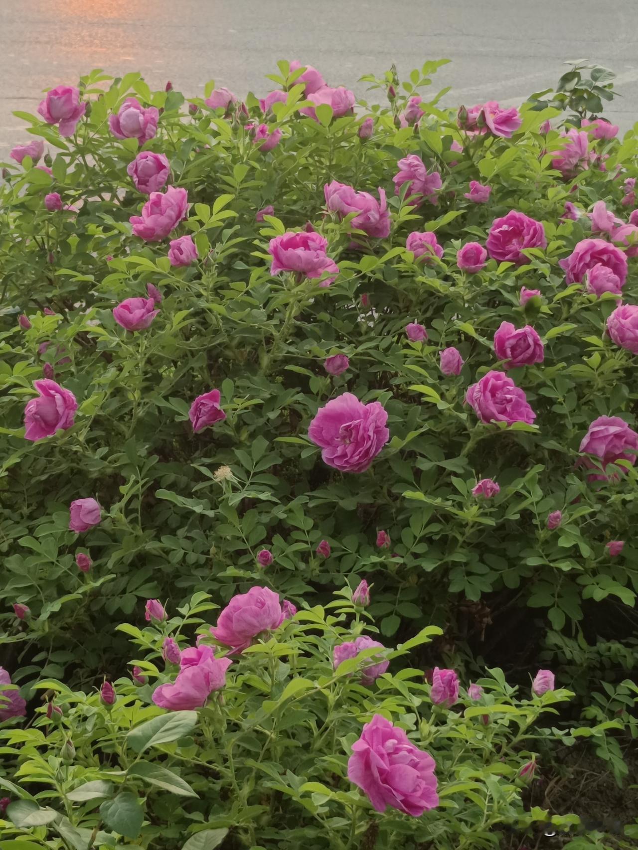 十问阶级斗争之议看看那些至今坚持阶级斗争的人的思想观念和言论特点，不讲道理、不