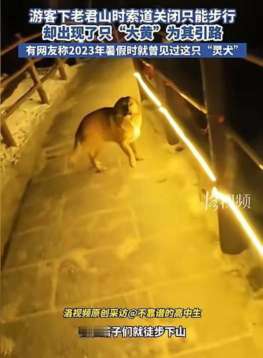 “太有灵性了！”河南一男子爬老君山，因太晚错过缆车，无奈只能步行下山，突然，一只